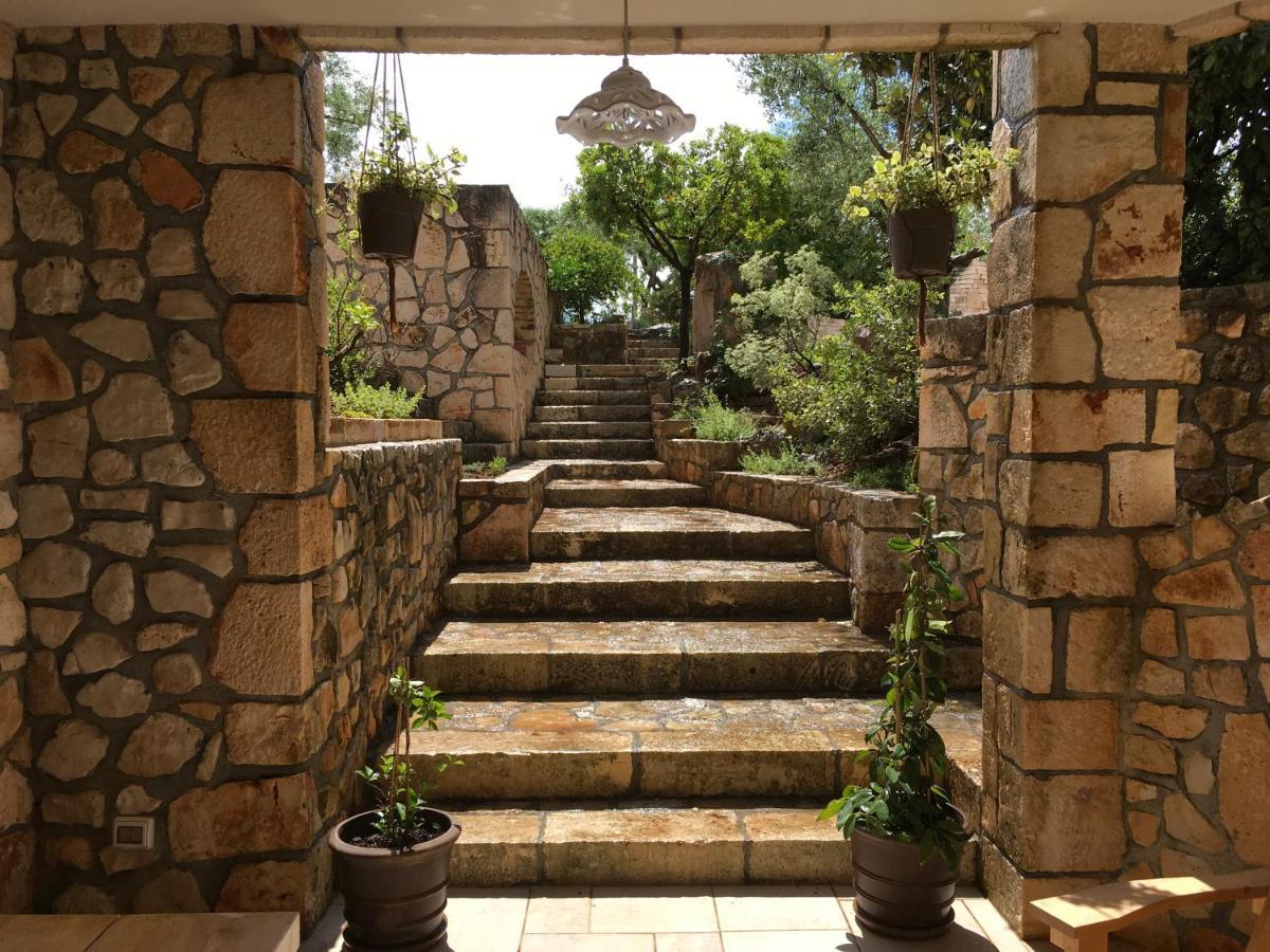 Casa Zucchetta Bed & Breakfast โลโกโรตอนโด ภายนอก รูปภาพ